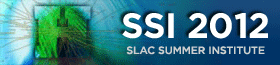Graphic: SSI 2012 LogoType
