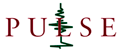 Graphic - Logotype - PULSE logo